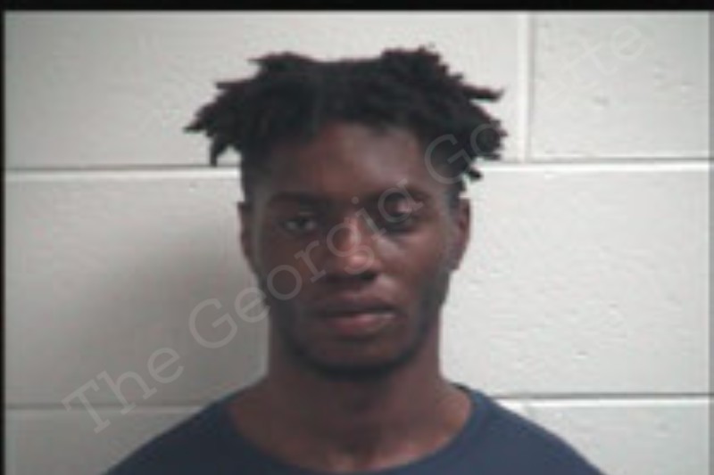 Zlanah Johnson Henry County Jail Bookings zlanah-johnson-henry-county-jail-bookings