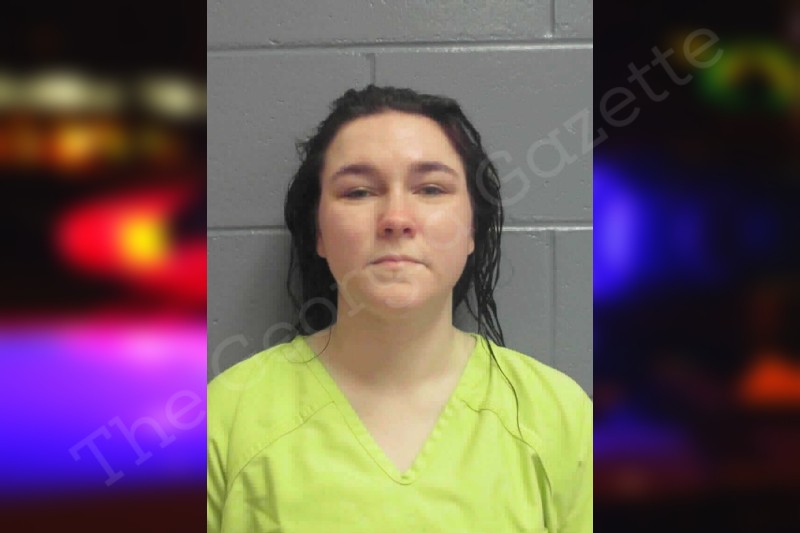 Chasity Kenison | Lee County Jail Bookings