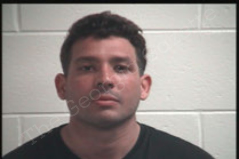 Juan Ledezma Vegas | Henry County Jail Bookings