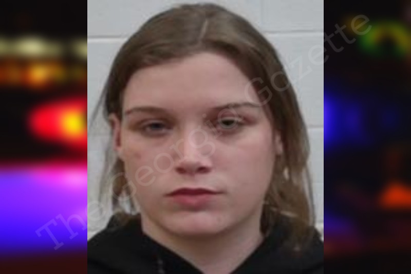 Brittany Muns Screven County Jail Bookings