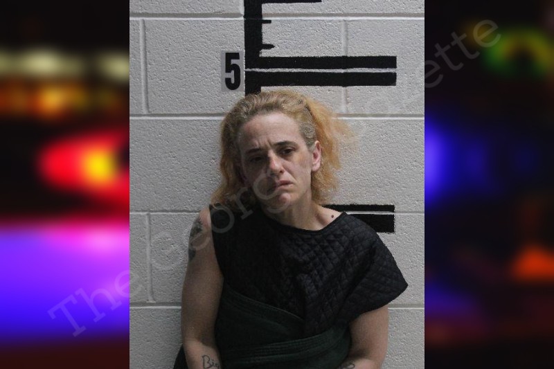 Naomi Mcmillen Murray County Jail Bookings