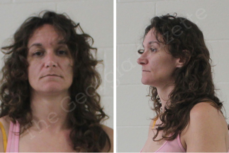 Misty Newsom Houston County Jail Bookings