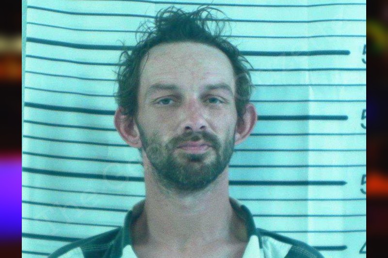 Stacey Owen — Stephens County Jail Bookings