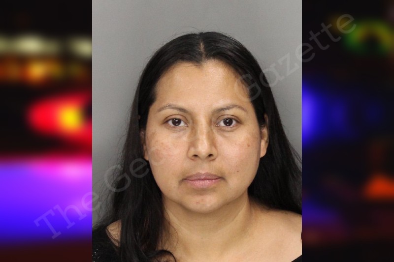 Ana Rodriguez | Cobb County Jail Bookings