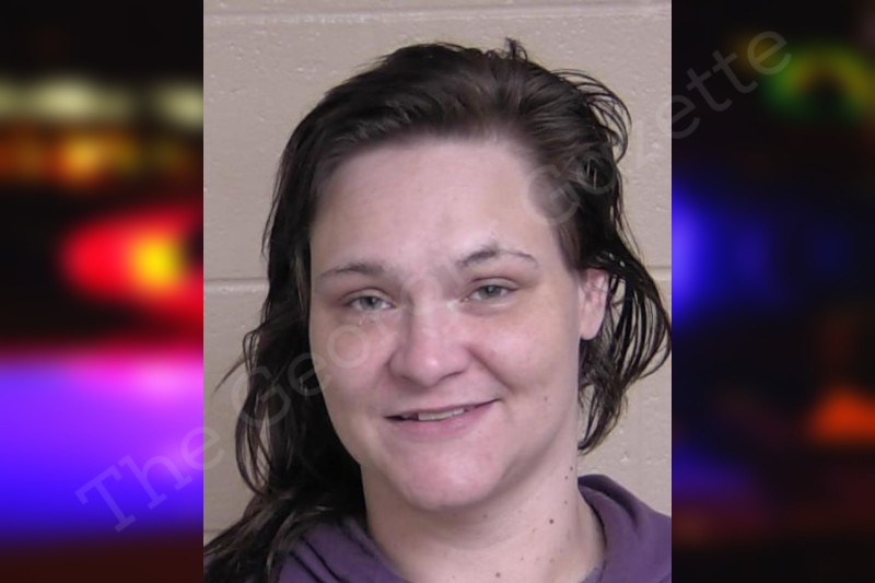 Jordan Skinner Walker County Jail Bookings