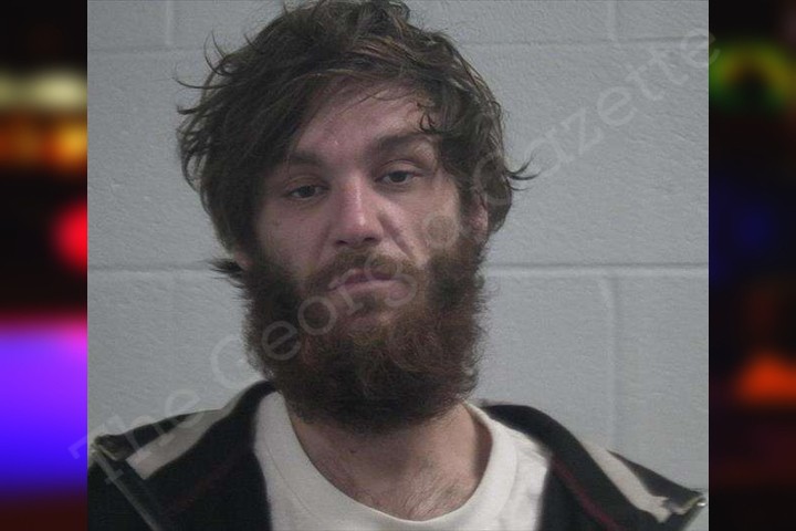 Brandon Tompkins Mcduffie County Jail Bookings