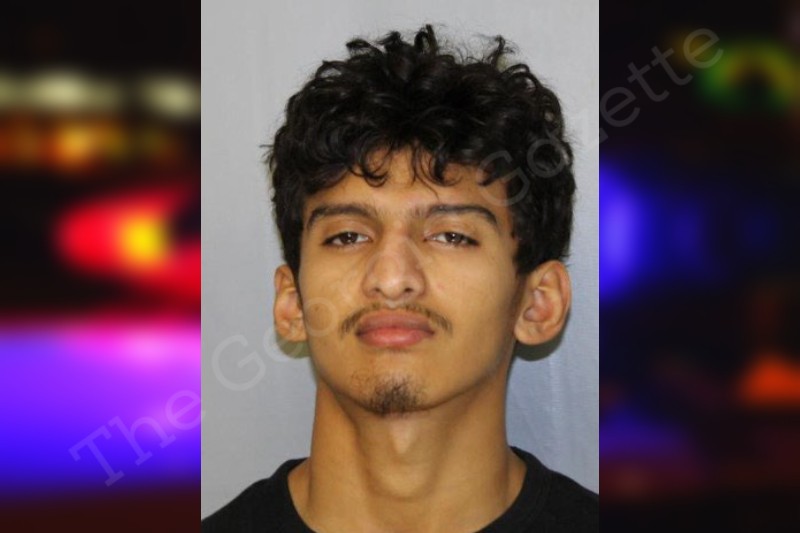 Sergio Turcios Zavala Hall County Jail Bookings