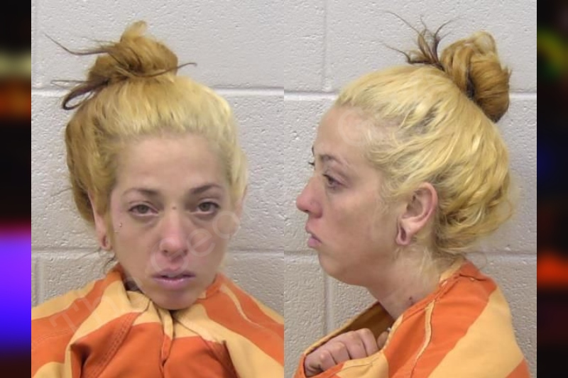 Leeanne Williams Paulding County Jail Bookings