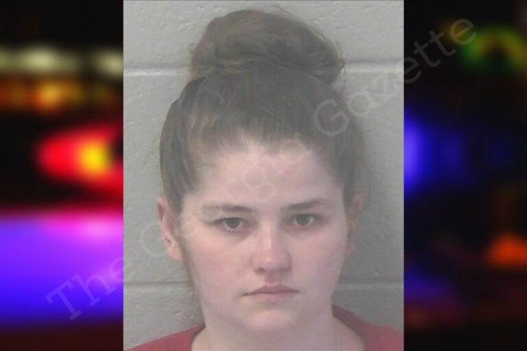 Ansley Briscoe | Newton County Jail Bookings