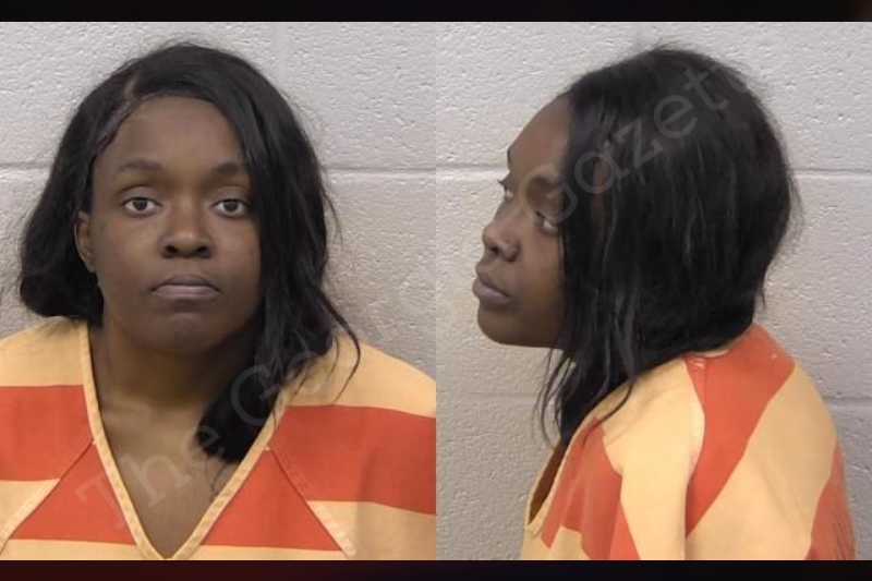 Kayla Carter — Paulding County Jail Bookings