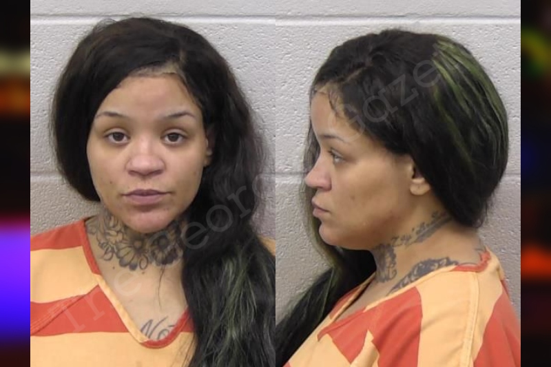 Kayla Dilley — Paulding County Jail Bookings