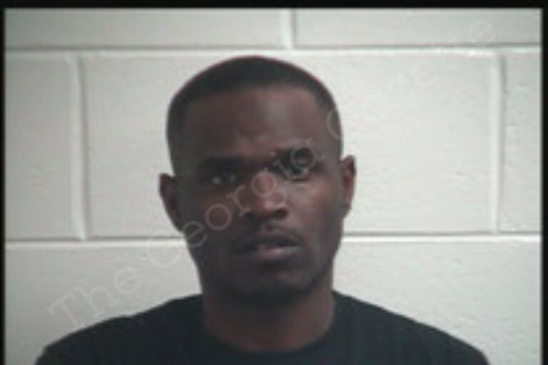 Ahnaneeyah Ford | Henry County Jail Bookings