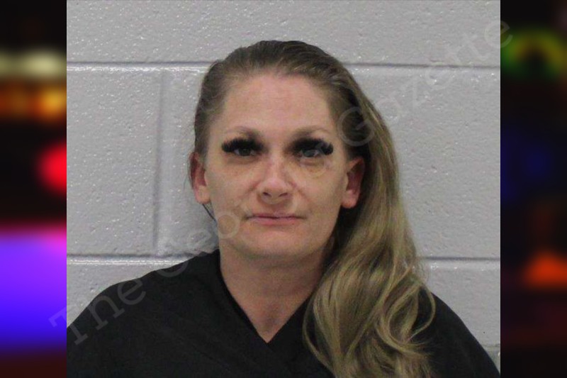 Melissa Hall | Carroll County Jail Bookings