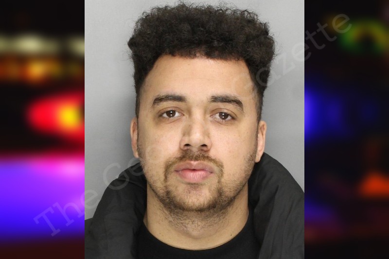 Alexander Hargrave Cobb County Jail Bookings