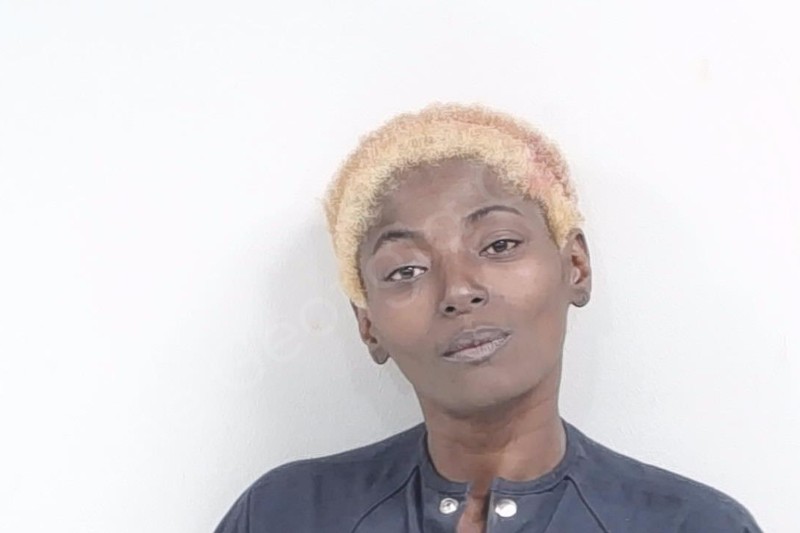 Tiffany Heflin Lowndes County Jail Bookings