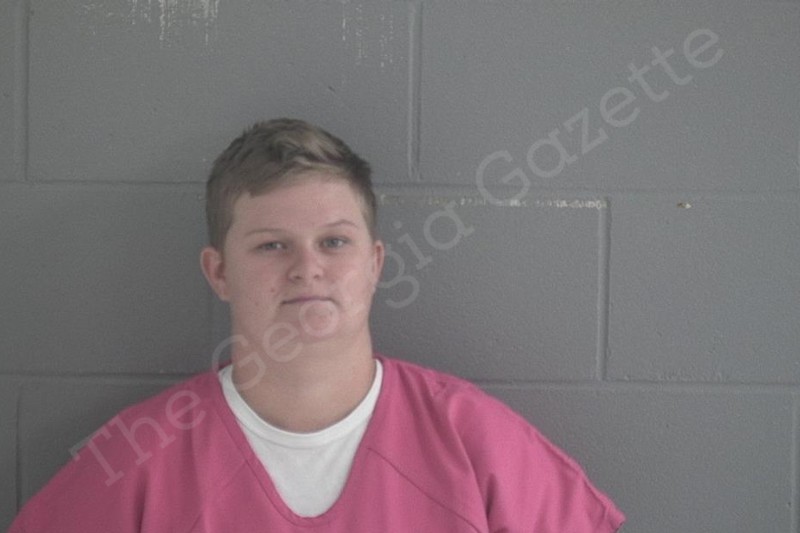 Savannah Hickox Brantley County Jail Bookings