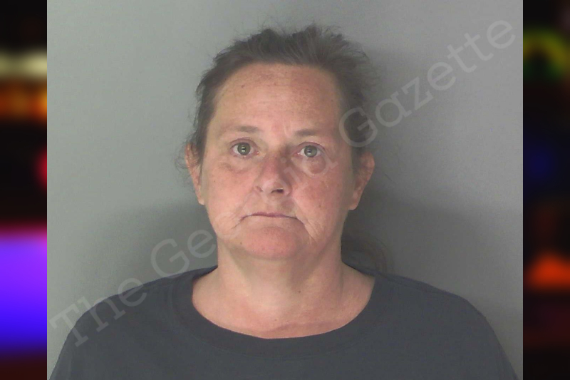 Lori Holtzclaw | Douglas County Jail Bookings