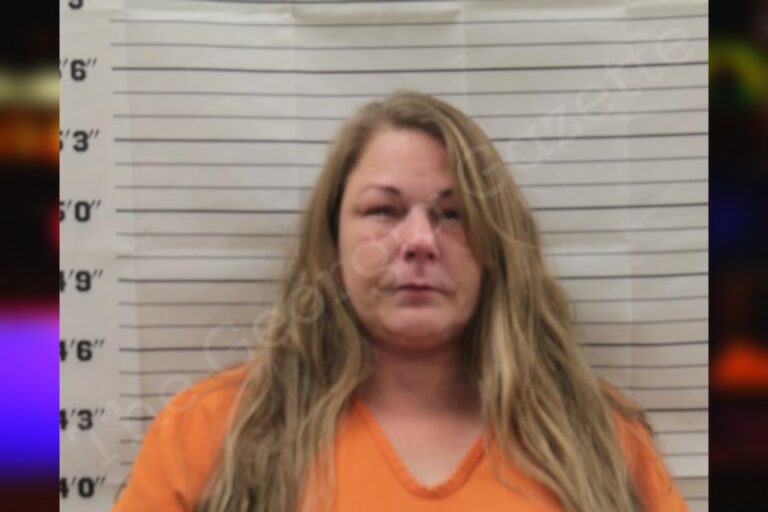 Janine Watkins | Pickens County Jail Bookings