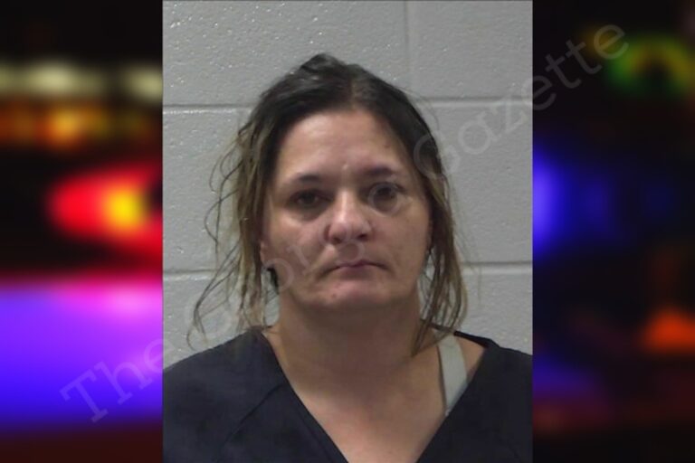 Christina Jones | Gilmer County Jail Bookings