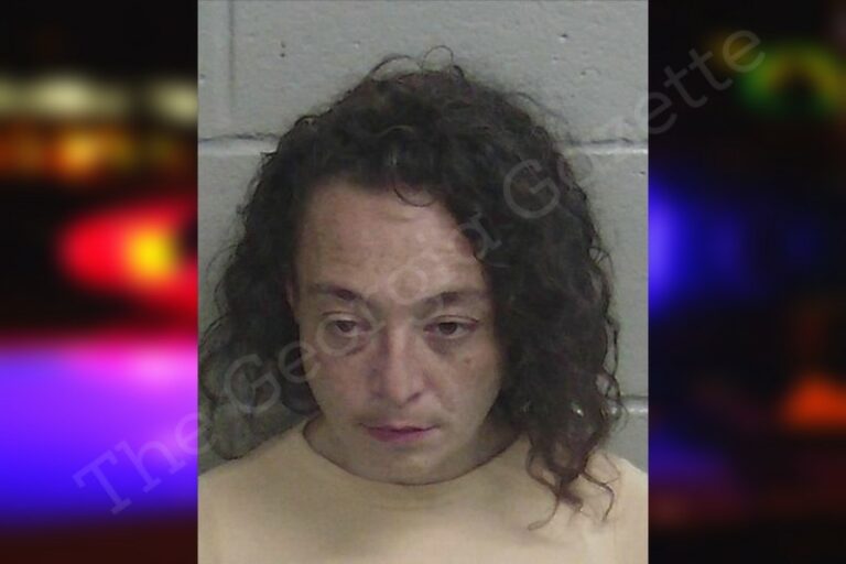 Rachel Jordan Wayne County Jail Bookings