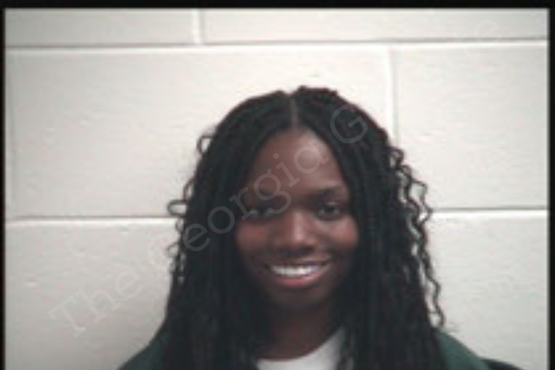 Monique Lee | Henry County Jail Bookings