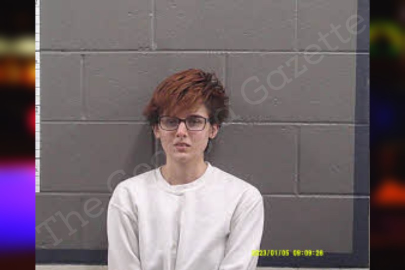 Madison Rogers — Banks County Jail Bookings