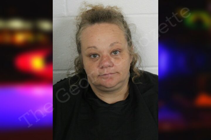 Brandy Maynor | Floyd County Jail Bookings