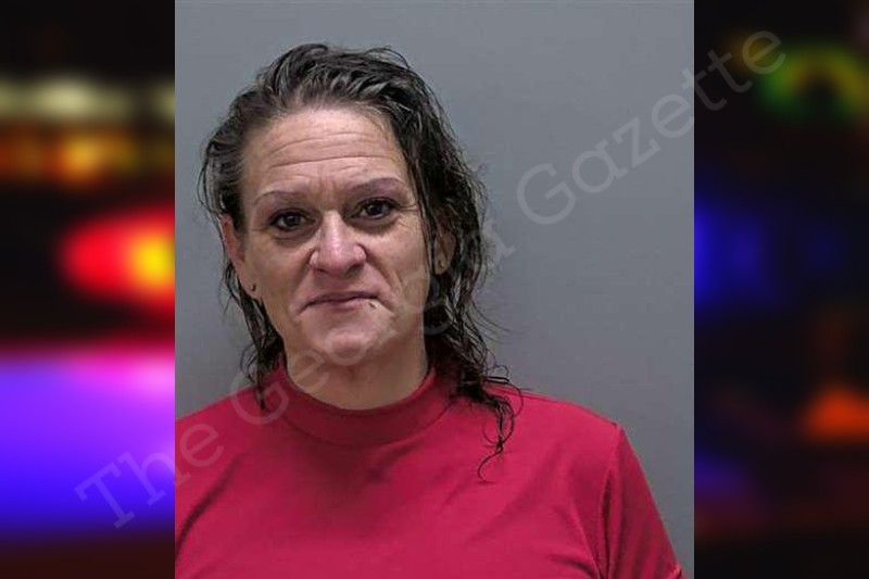 Crystal Melford Charlton County Jail Bookings