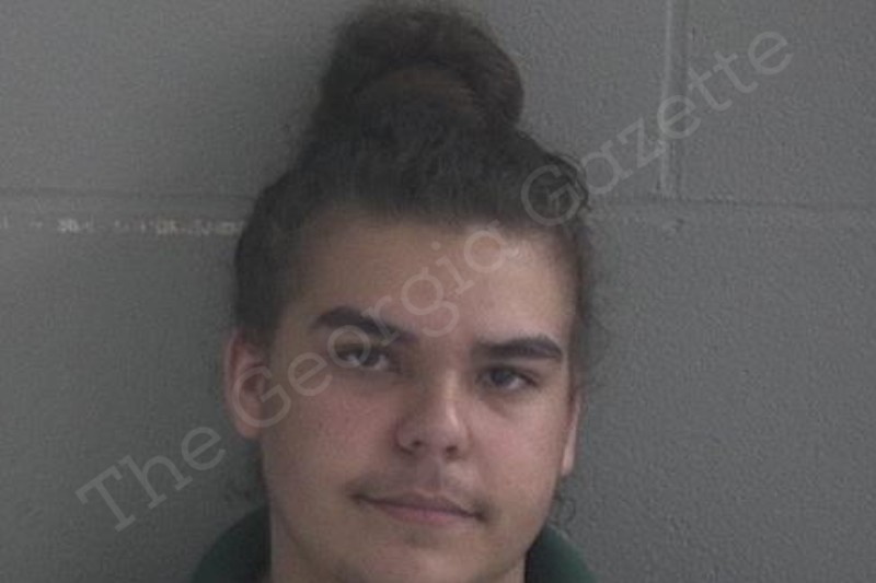 Justice Oyola Brantley County Jail Bookings