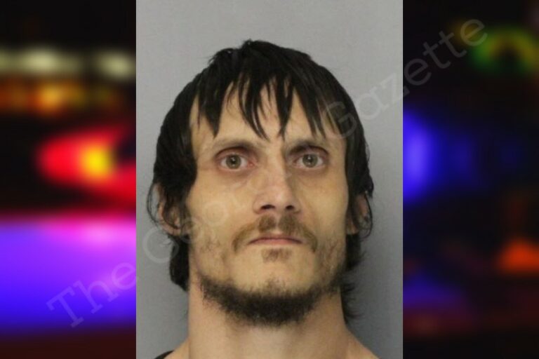 Shane Powell Hall County Jail Bookings