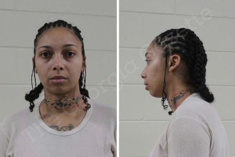 Breana Ransom Houston County Jail Bookings
