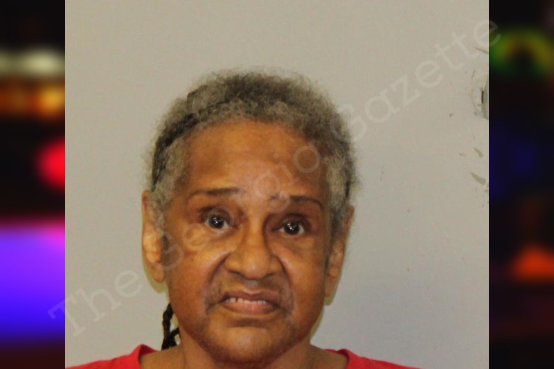 Gloria Saddler McIntosh County Jail Bookings