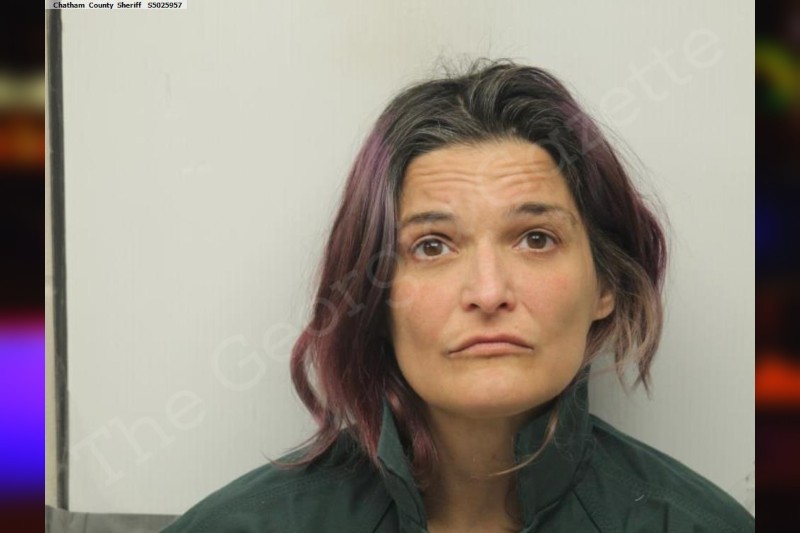 Gina Smithson — Chatham County Jail Bookings