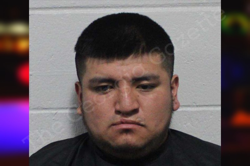 Jorge Vera-Avila — Habersham County Jail Bookings