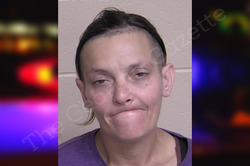 Nicole Whitener Walker County Jail Bookings