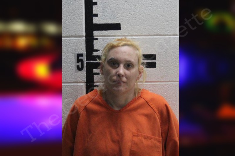 Erica Wright | Murray County Jail Bookings