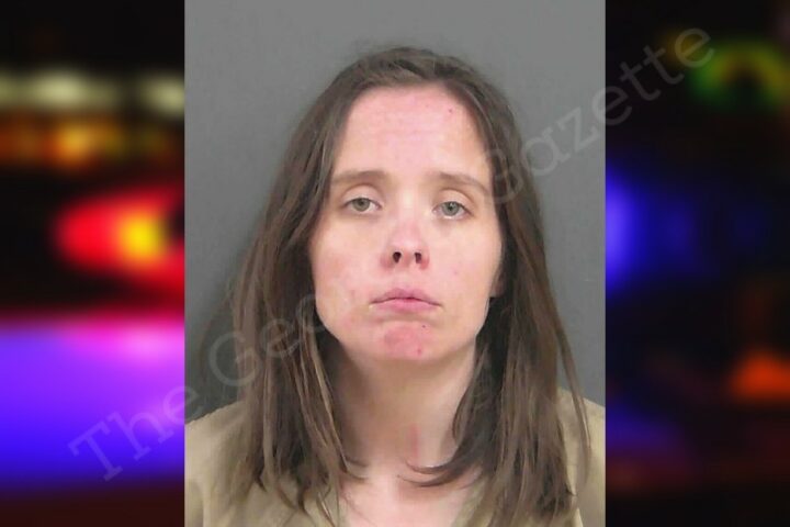 Nikki Young — Gordon County Jail Bookings