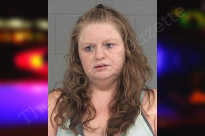 Amanda Aldridge Baldwin County Jail Bookings