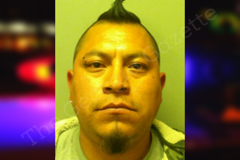 Hector alarcon towns county jail bookings