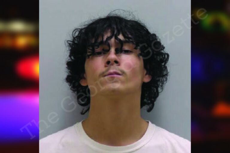 Jordan Ali Bartow County Jail Bookings