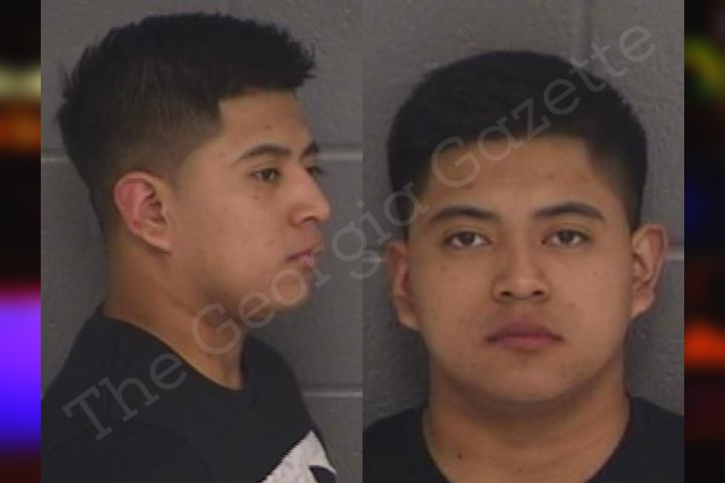 Nestor Dominguez — Barrow County Jail Bookings