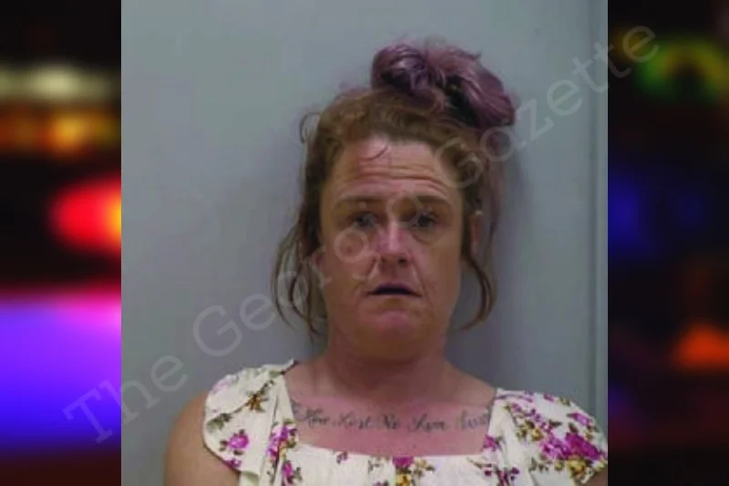 Shannon Ellis Bartow County Jail Bookings