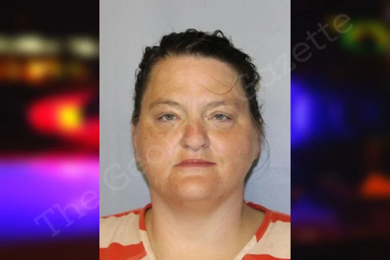 Amy Hensley — Hall County Jail Bookings