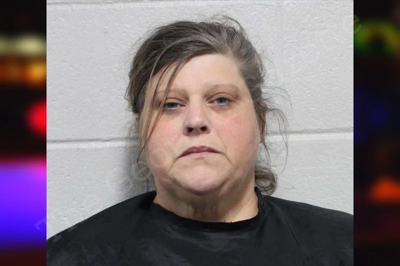 Elizabeth Hill — Habersham County Jail Bookings