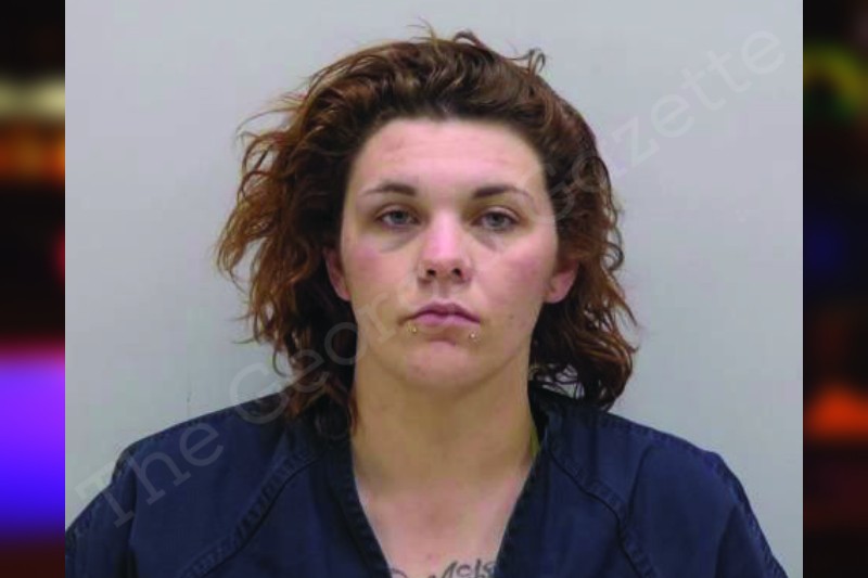 Chasity Larsen | Bartow County Jail Bookings