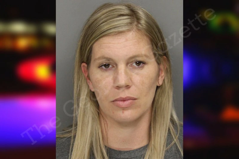 Meghan Reeves | Cobb County Jail Bookings