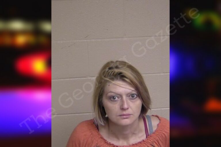 Ashley Smith | Walker County Jail Bookings