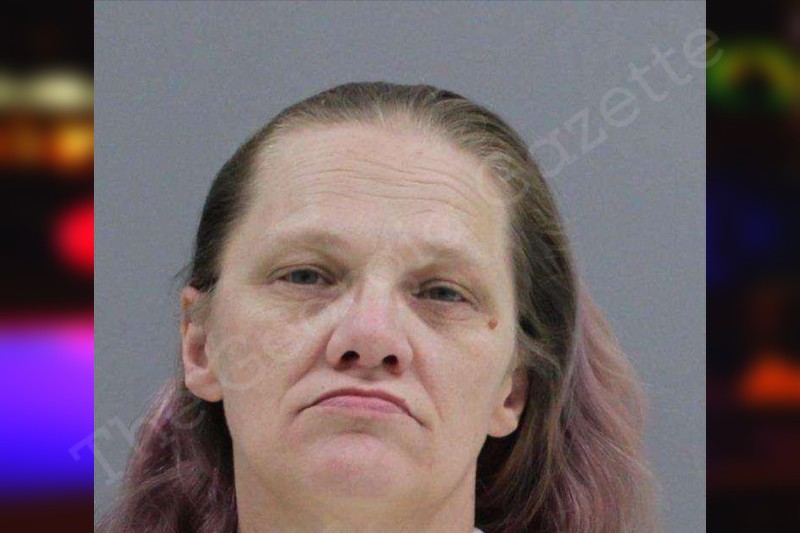 Michelle Watkins — Rabun County Jail Bookings