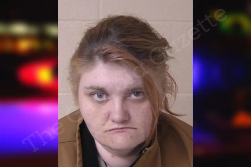 Sarah Walker — Walker County Jail Bookings