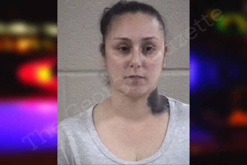 Iliana Williams | Whitfield County Jail Bookings